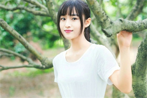 上海新茶工作室微信：未来挑战：上海气候适应措施的必要性