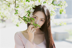 爱上海官网：探索上海登革热疫情的长期影响